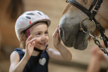 ROMIUS Weihnachtsspendenaktion 2025: Vier Organisationen zählen auf Sie!